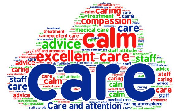 Wordle diagram