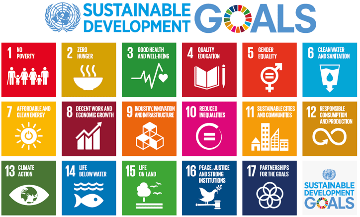 Sustainable Development Goals Sustainable Development Goals
