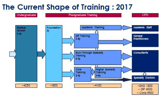 The current shape of training: 2017 The current shape of training: 2017