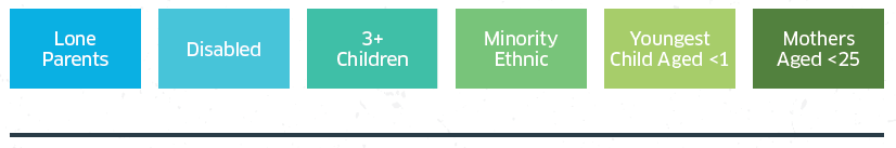 Analysis of Priority Groups, Additional Barriers and other factors