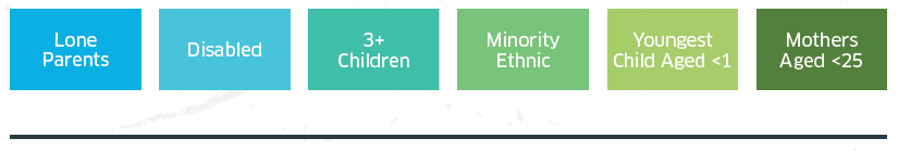 Analysis of Priority Groups, Additional Barriers and other factors