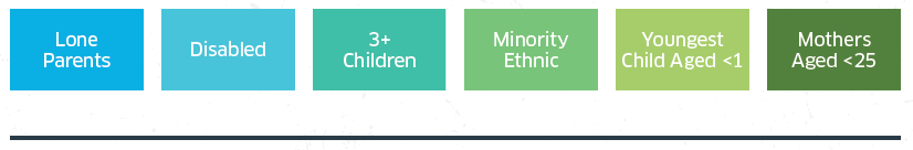Analysis of Priority Groups, Additional Barriers and other factors