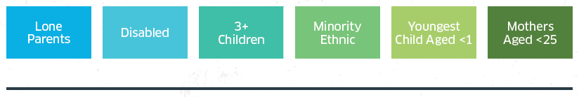 Analysis of Priority Groups, Additional Barriers and other factors