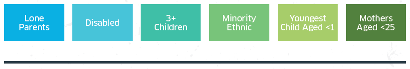 Analysis of Priority Groups, Additional Barriers and other factors