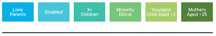 Analysis of Priority Groups, Additional Barriers and other factors