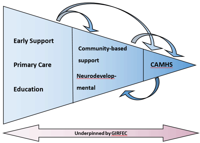 Diagram summarising taskforce approach Diagram summarising taskforce approach