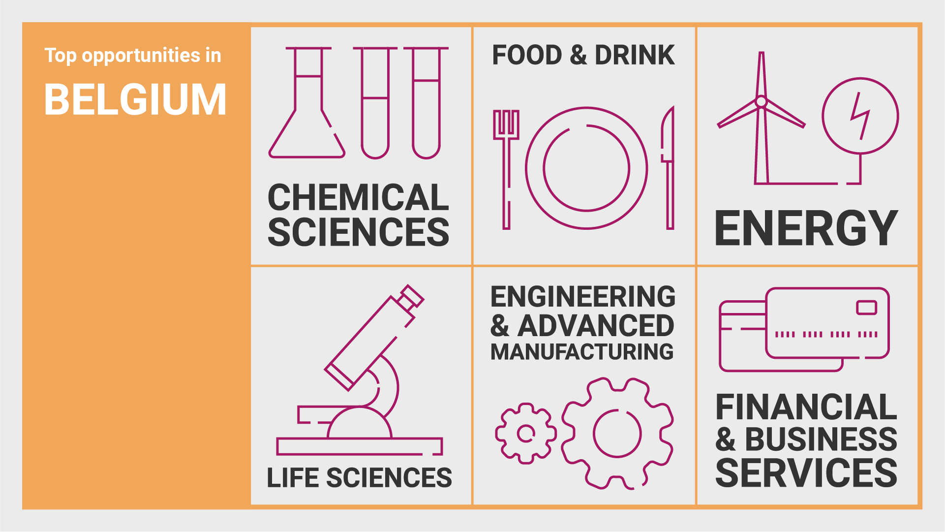 Infographic showing top opportunities in Belgium