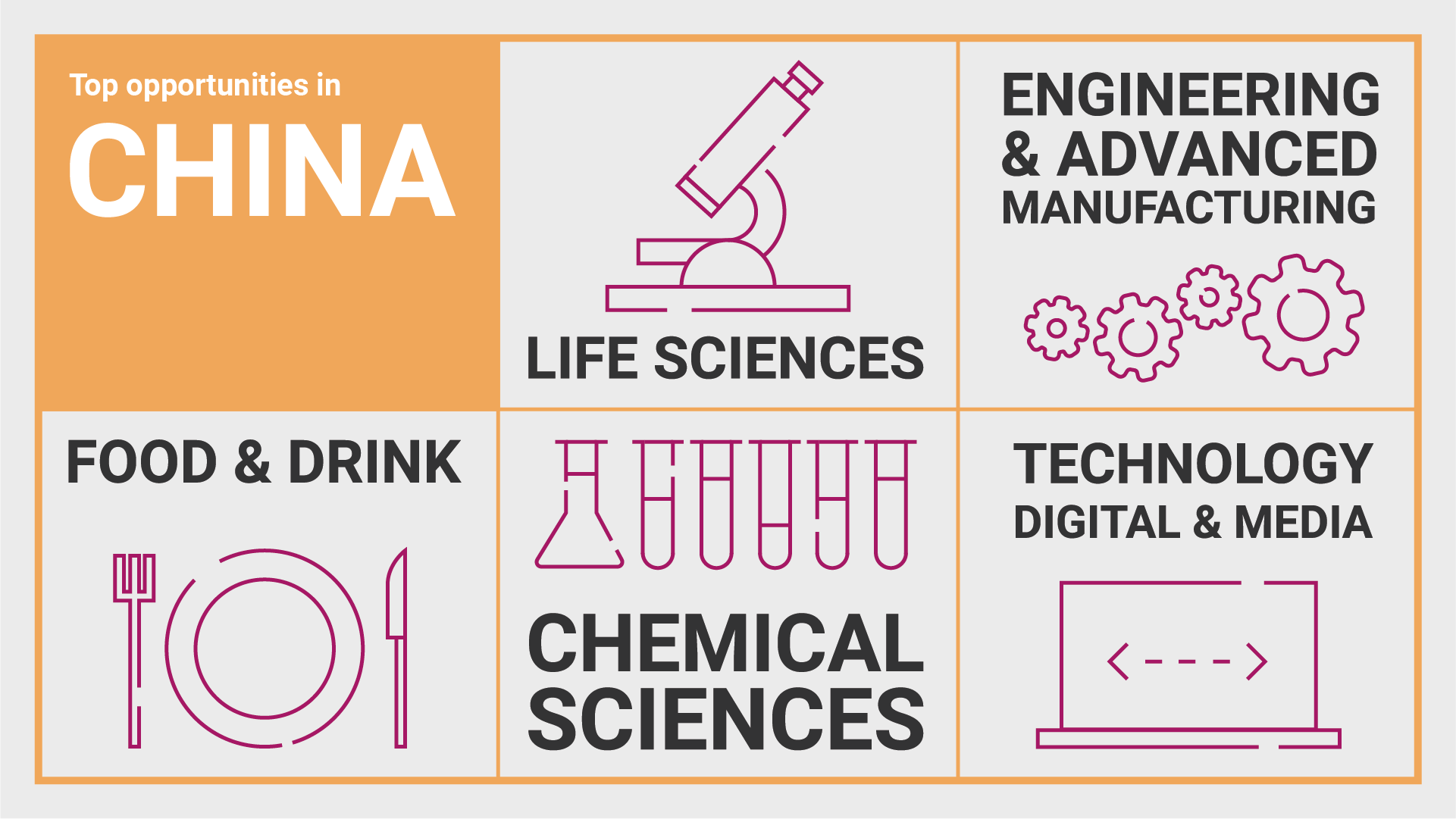 Infographic showing top opportunities in China