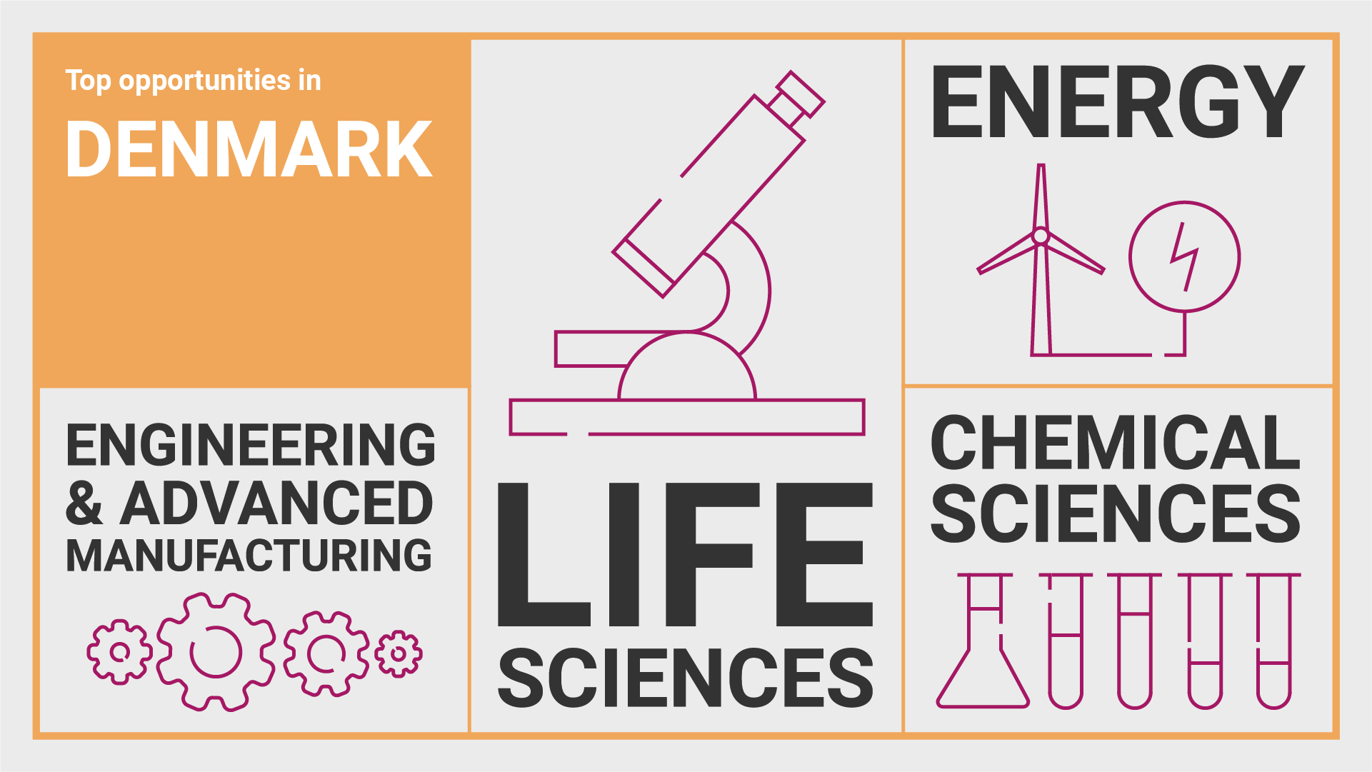 Infographic showing top opportunities in Denmark