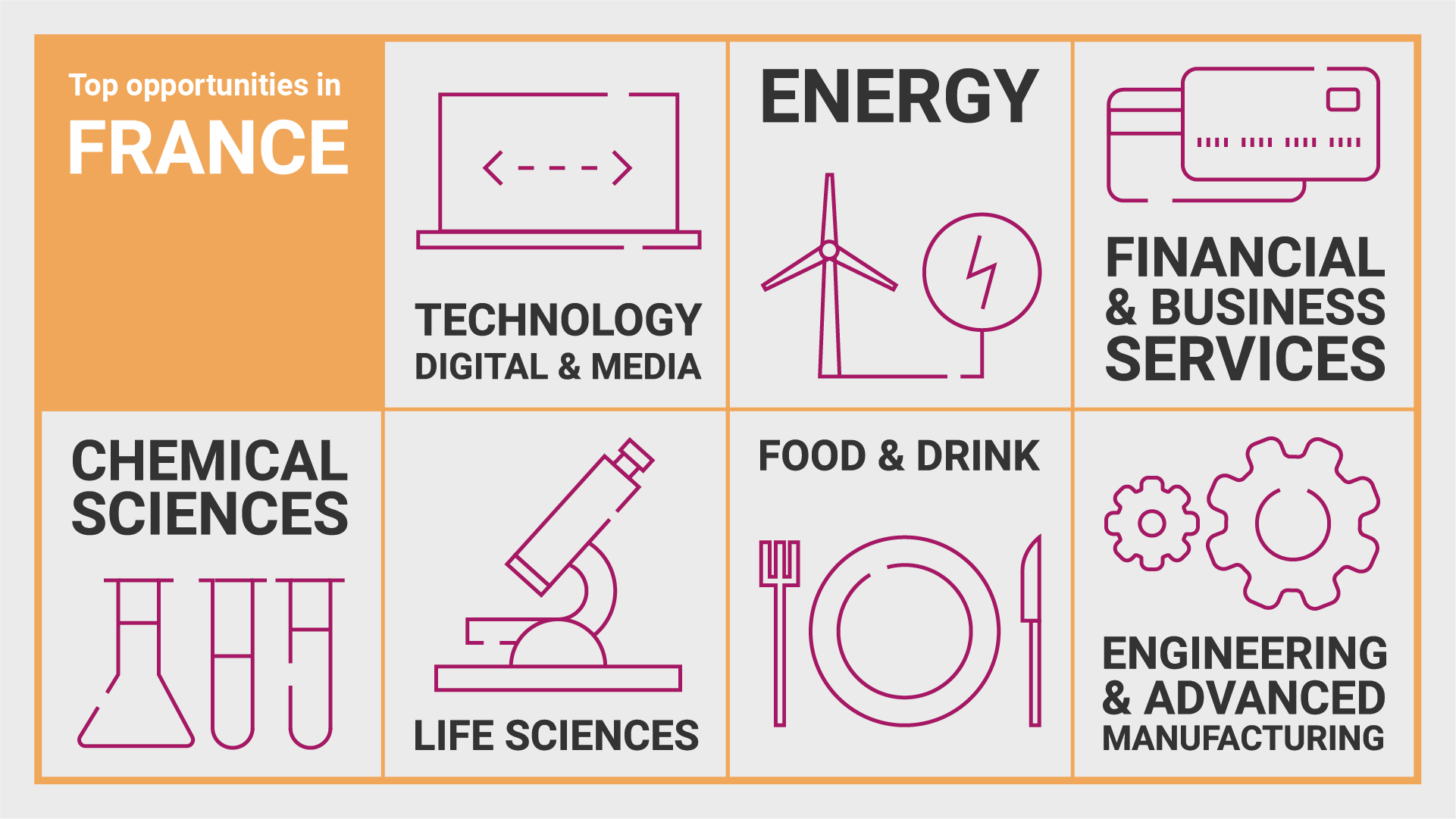 Infographic showing top opportunities in France