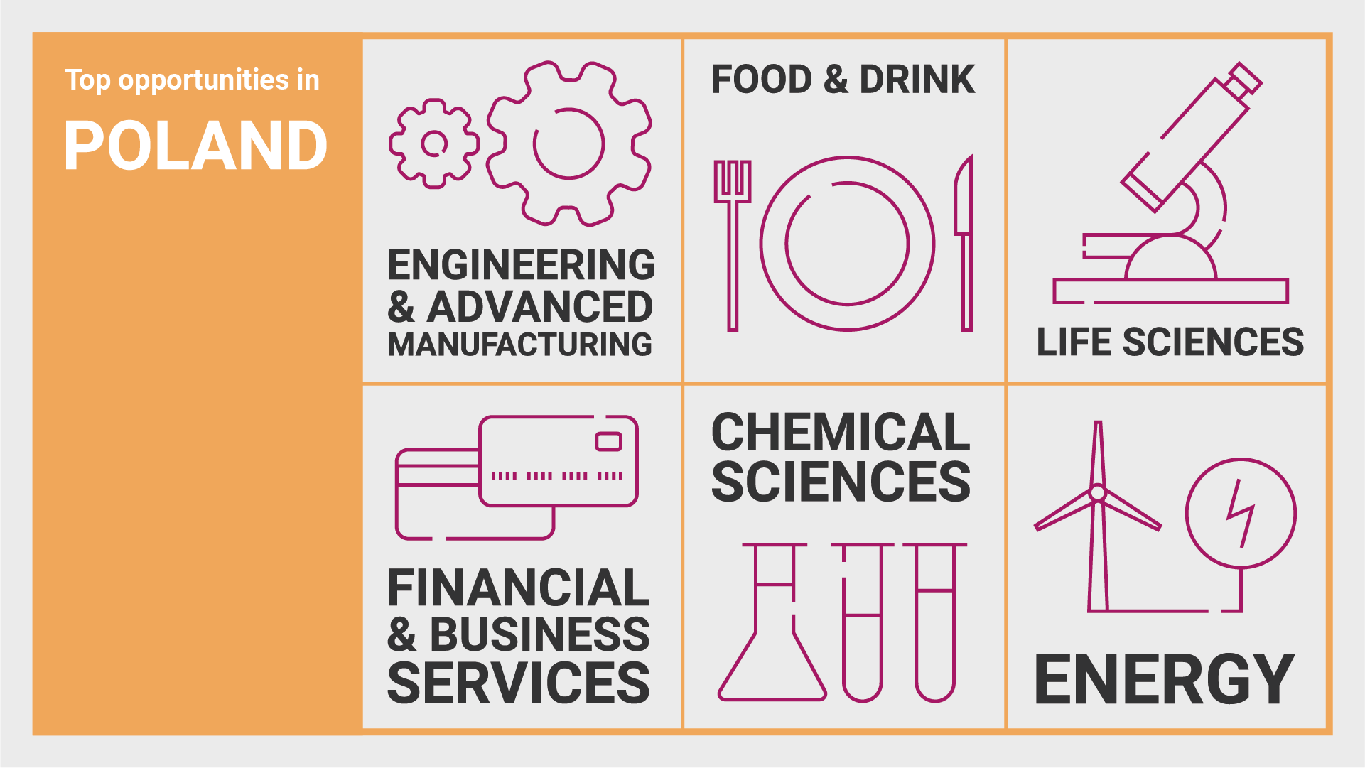Infographic showing top opportunities in Poland