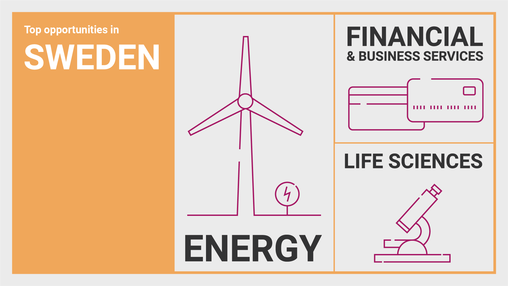 Infographic showing top opportunities in Sweden