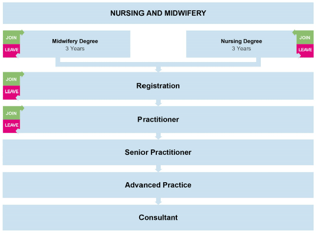 Nursing and Midwifery Nursing and Midwifery