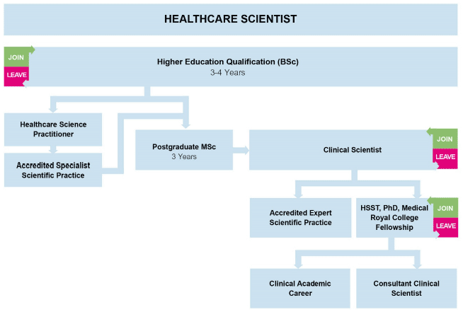 Healthcare Scientist Healthcare Scientist