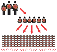 A picture showing how 3 people infected with coronavirus could spread the virus to six people, and those six people could spread
