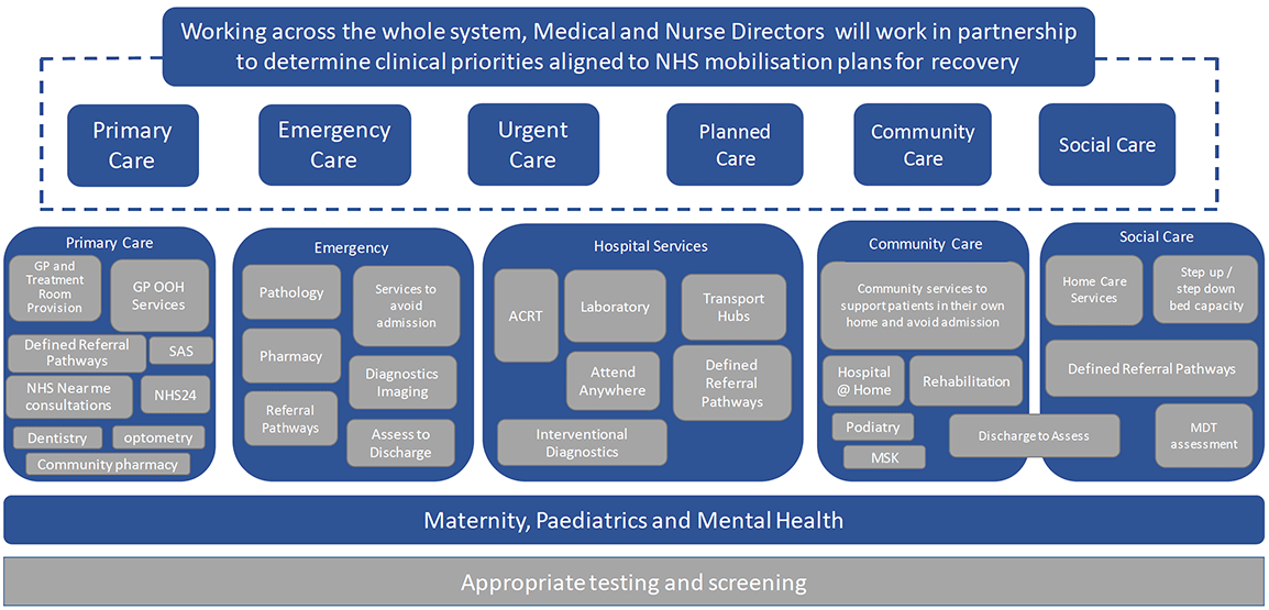 This graphic sets out how, working across the whole health and care system, medical and nurse directors will work in partnership to determine clinical priorities aligned to NHS mobilisation plans.