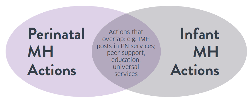 Figure 1 - Interface of perinatal and infant mental health delivery plans