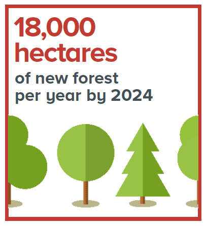 18,000 hectares of new forest per year by 2024