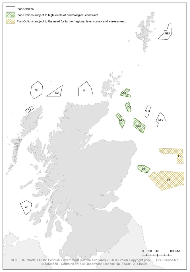 Map of Scotland and the 15 Plan Options. Options NE2, NE3, NE4, NE6, E1, E2 and E3 are highlighted to note the ornithological constraint in these areas.