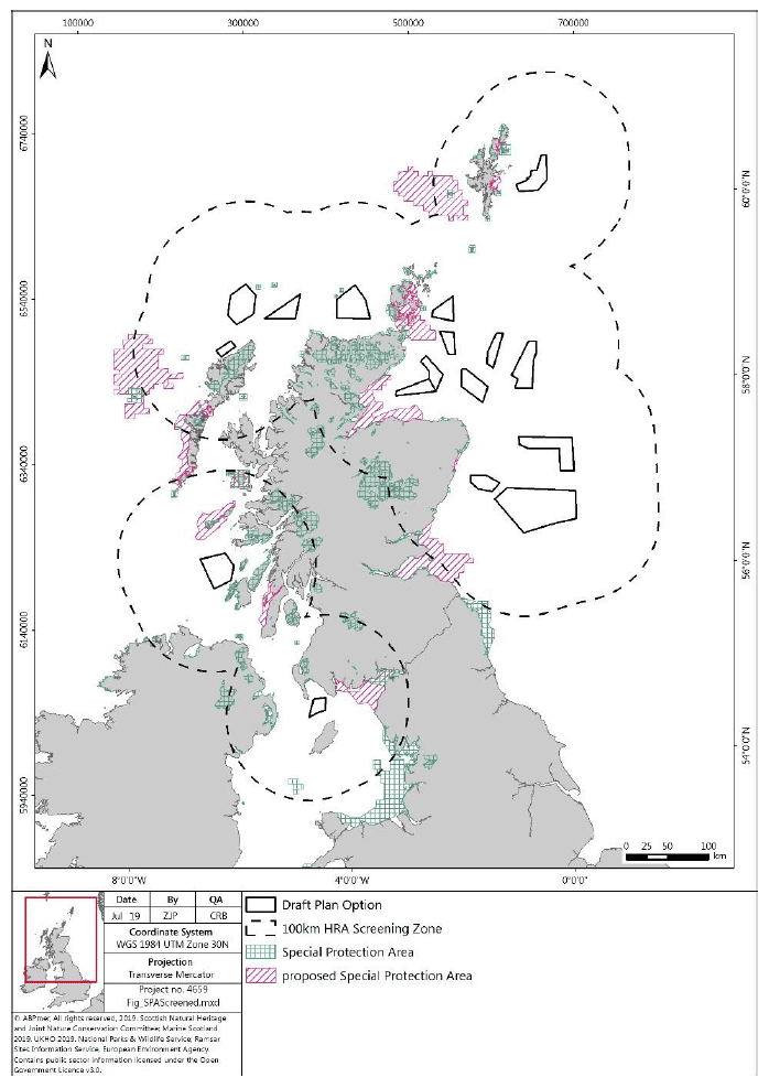 Map depicting the SPA and proposed SPA in Scotland alongside the Sectoral Marine Plan Draft Pan Options and the 100 KM Screening zones around those Options