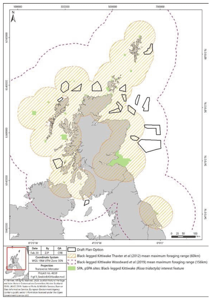 Map shows the mean maximum foraging range for black-legged kittiwake, from SPA around Scotland, based on previous and now updated research