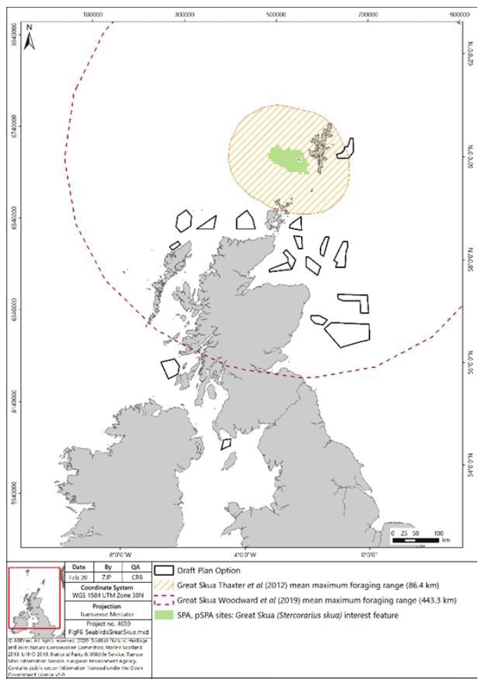 Map shows the mean maximum foraging range for great skua, from SPA near Shetland, based on previous and now updated research