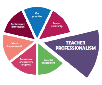 Graphic highlighting Teacher Professionalism priority
