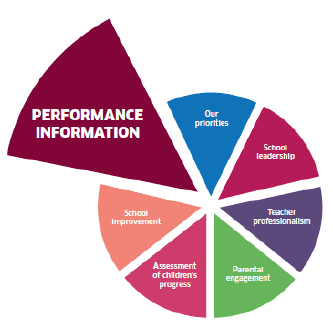  Graphic highlighting Performance Information priority