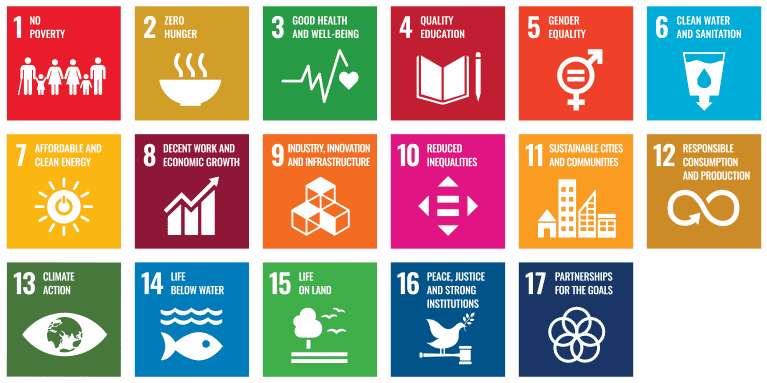 UN Sustainable Development Goals - graphic text below