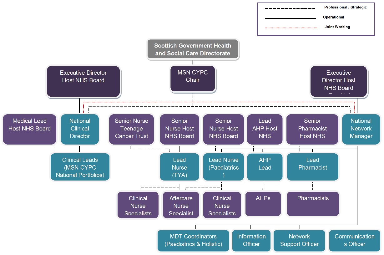 An Organisational chart is displayed, which demonstrates the professional, operational and joint working structure flowing from the Scottish Government Health and Social Care Directorate.  