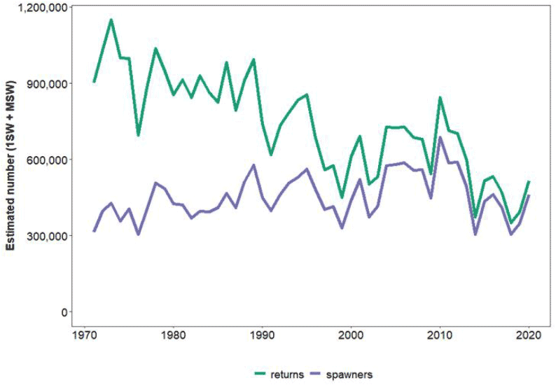 Line graph showing trends in the estimated number of salmon returning to Scottish coastal waters and the numbers spawning in Scotland’s rivers between 1971 and 2020