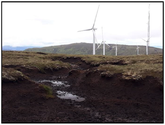 Picture showing degraded peatland. 