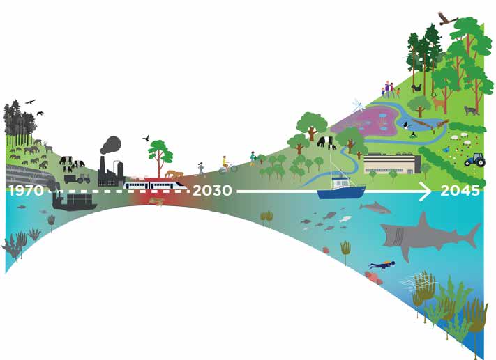 An infographic depicting a vision for a nature positive future to 2045 – reversing the downward curve of biodiversity loss so that levels of biodiversity are once again increasing.