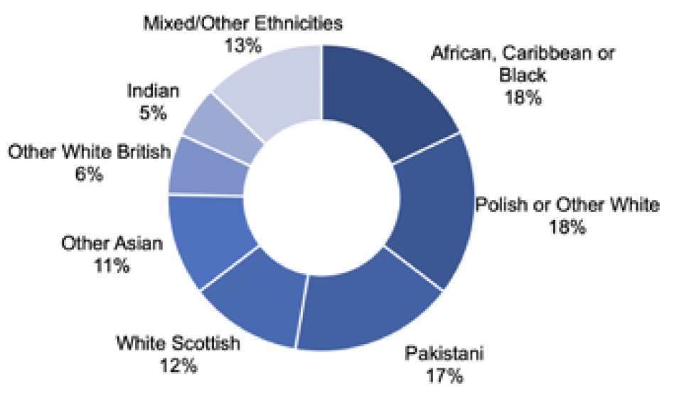 Pie chart showing victim ethnicity for race aggravated hate crimes, using census ethnicity categories, from the 2020-21 deep dive. Of the victims of race aggravated hate crimes 18% were of African, Caribbean or Black ethnicity, 17% were of Polish or Other White ethnicity, 17% were of Pakistani, Pakistani British or Pakistani Scottish ethnicity. 12% were of white Scottish ethnicity, 11% were of other Asian ethnicity, 6% were other white British, 5% were of Indian ethnicity and 13% were Mixed and Other ethnicities .  