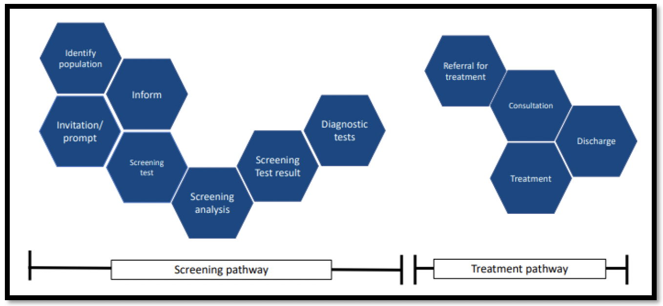 A visual depiction of the main stages in the screening and treatment pathways