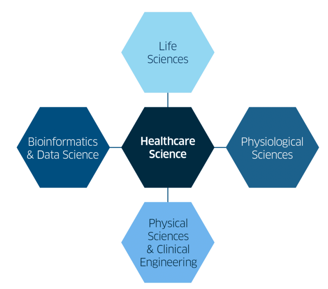 Diagram showing the four broad streams of healthcare science. The four broad streams are set out in the narrative.