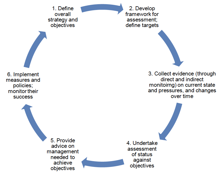 A diagram showing the adaptive management cycle: 1. Define overall strategy and objectives. 2. Develop framework for assessment; define targets. 3. Collect evidence (through direct and indirect monitoirng) on current state and pressures, and changes over time. 4. Undertake assessment of status against objectives. 5. Provide advice on management needed to achieve objectives. 6. Implement measures and policies; monitor their success.
