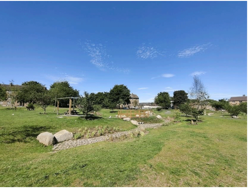 A photo showing Douglas Community Park showing a grassy area with trees and a blue sky