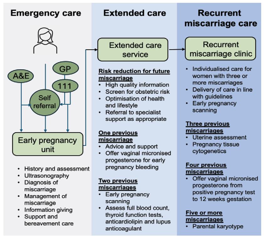 Figure 1 shows a flow diagram for miscarriage care pathway
