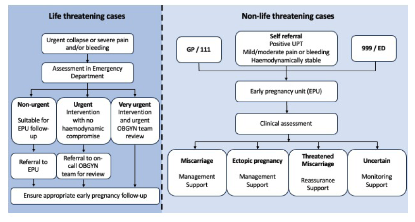 Figure 2 shows a flow diagram of early pregnancy emergency care