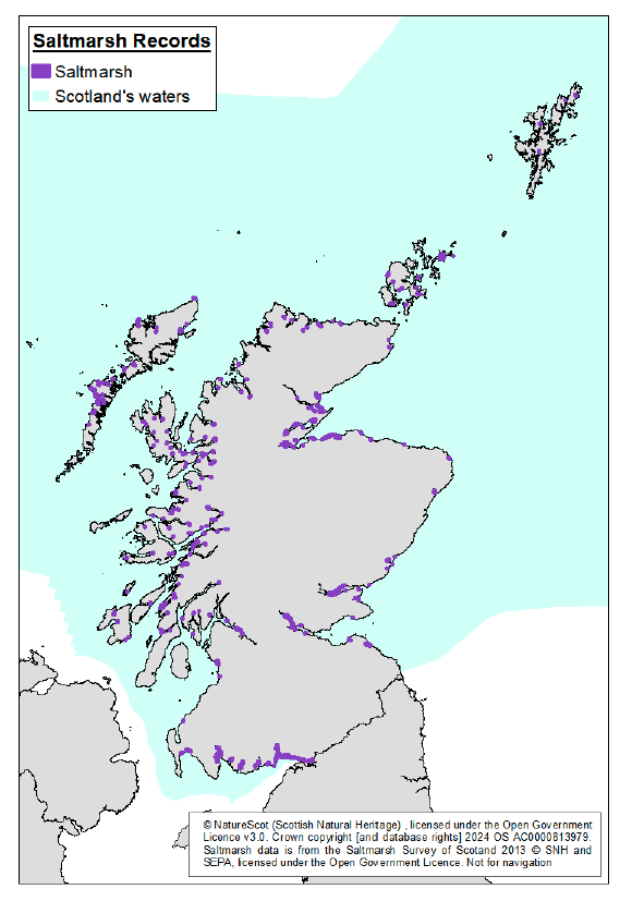 A map of Scotland showing the location of known saltmarshes along the coast. Saltmarsh can be seen all along the Scottish coast, and particularly on the west coast. 