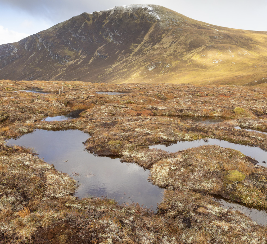 Ben Wyvis after peatland restoration works.