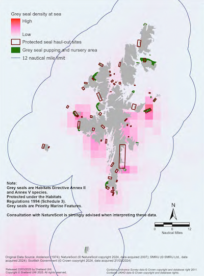 A map of the Shetland Islands showing the density of grey seals within the Shetland Islands Marine Region along with protected seal haul out sites and pupping and nursery areas. Note: Grey seals are Habitat Directive Annex 2 and Annex 5 species. Protected under Habitats Regulations 1994 (Schedule 3). Grey seals are Priority Marine Features. Consultation with NatureScot is strongly advised when interpreting these data. 