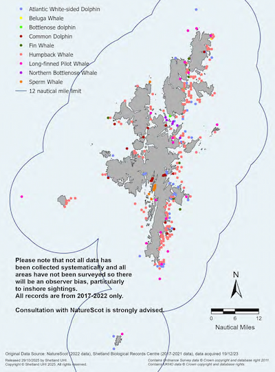 A map of the Shetland Islands showing public observations of seven vagrant cetacean species within the Shetland Islands Marine Region. Species recorded are Atlantic white-sided dolphin, bottle-nosed dolphin, common dolphin, fin whale, humpback whale, sperm whale and long-finned pilot whale. Please note that not all data has been collected systematically and all areas have not been surveyed so there will be an observer bias, particularly to inshore sightings. All records are from 2017-2022 only. Consultation with NatureScot is strongly advised.