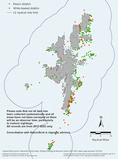 A map of the Shetland Islands showing public observations of Risso’s dolphin and white-beaked dolphin in the Shetland Islands Marine Region. Please note that not all data has been collected systematically and all areas have not been surveyed so there will be an observer bias, particularly to inshore sightings. All records are from 2017-2022 only. Consultation with NatureScot is strongly advised.