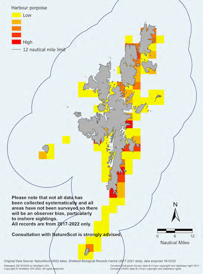 A map of the Shetland Islands showing the relative intensity of public observations of harbour porpoise in the Shetland Islands Marine Region. The highest density of observations being around Sumburgh Head and Mousa Sound in the south mainland, southwest areas around the isles of Bressay and Noss, and South Nesting. Please note that not all data has been collected systematically and all areas have not been surveyed so there will be an observer bias, particularly to inshore sightings. All records are from 2017-2022 only. Consultation with NatureScot is strongly advised.