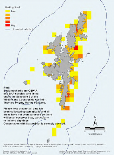A map of the Shetland Islands showing the relative intensity of public observations of basking sharks in the Shetland Islands Marine Region. The highest observations are around Sandwick and Mousa in the south mainland, the southeast of Yell and Bluemull. Note: Basking sharks are Priority Marine Features, a Biodiversity Action Plan species, a species identified by the OSPAR and listed under schedule 5 of the Wildlife and Countryside Act 1981. Also note that not all data has been collected systematically and all areas have not been surveyed so there will be an observer bias, particularly to inshore sightings. Consultation with NatureScot is strongly advised.