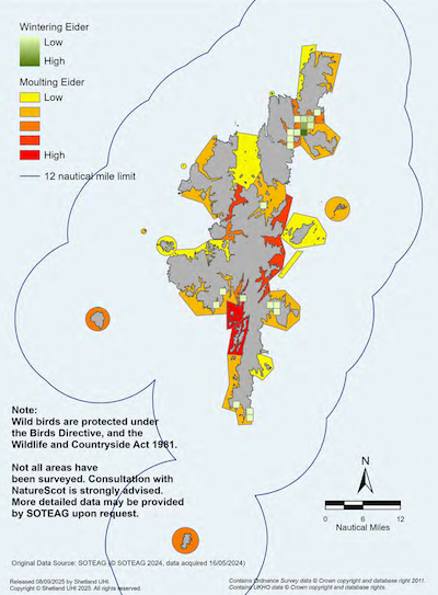 A map of the Shetland Islands showing the distribution of common eider in the Shetland Islands Marine Region. The map shows the distribution and number of wintering eider ducks and moulting eider ducks. Note: not all areas have been surveyed. Consultation with NatureScot is strongly advised. More detailed data may be provided by the Shetland Oil Terminal Environmental Advisory Group upon request.