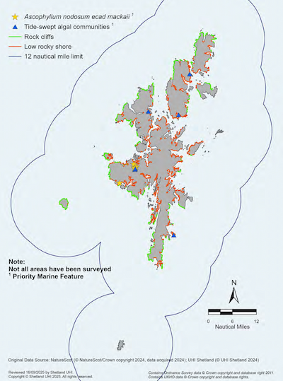 A map of the Shetland Islands showing intertidal rock distribution and supported habitats within the Shetland Islands Marine Region. The locations of rock cliffs and low rocky shore are shown along with tide-swept algal communities and Ascophyllum nodosum ecad mackaii which are both priority marine features. Tide-swept algal communities are located on Mousa, in the Vadills, an area on the east coast of north Mainland, and in the south and northeast of Yell. Ascophyllum nodosum ecad mackaii is located in the Vadills and Burrastow in the west Mainland. Note: not all areas have been surveyed.