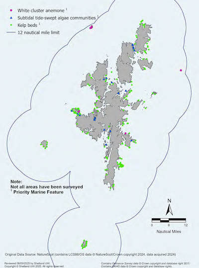A map of the Shetland Islands showing subtidal rock supported habitats within the Shetland Islands Marine Region. Locations of white cluster anemone, subtidal tide-swept algae communities and kelp beds are shown. All three are Priority Marine Features. Note: not all areas have been surveyed.